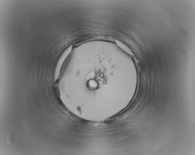 X0000114100621200911161059