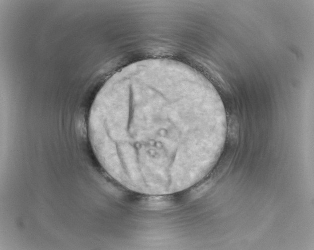 X0000114100622200911161059