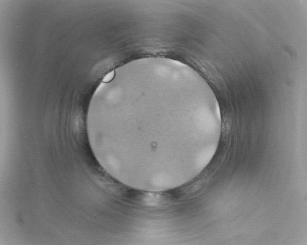 X0000114100623200911161059