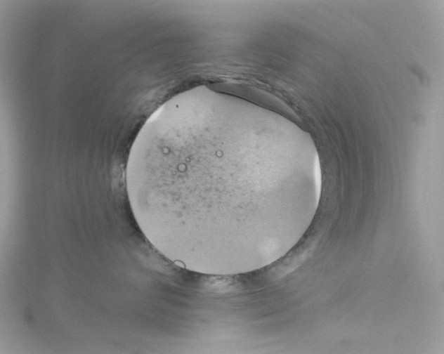 X0000114100624200911161059