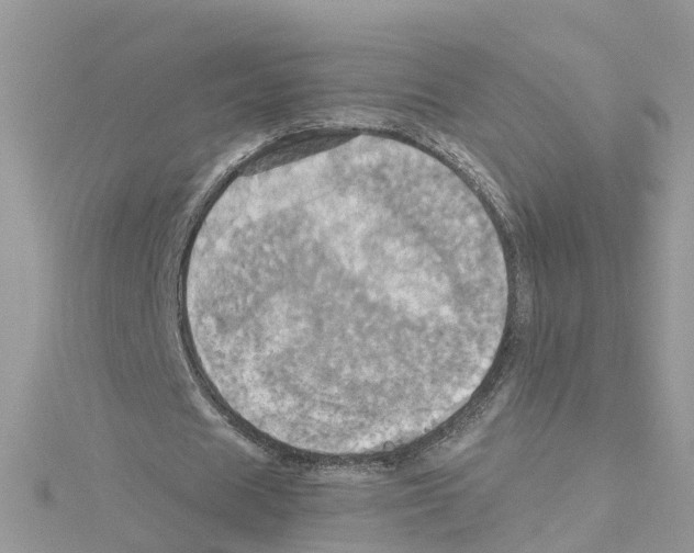 X0000114100625200911161059