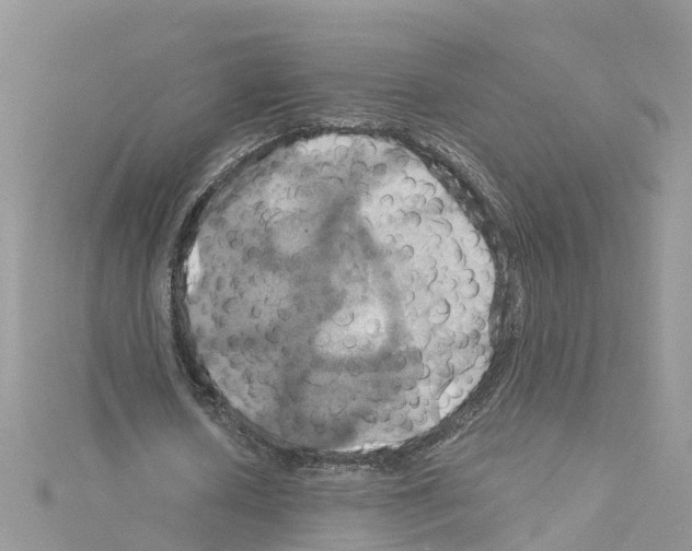 X0000114100626200911161059