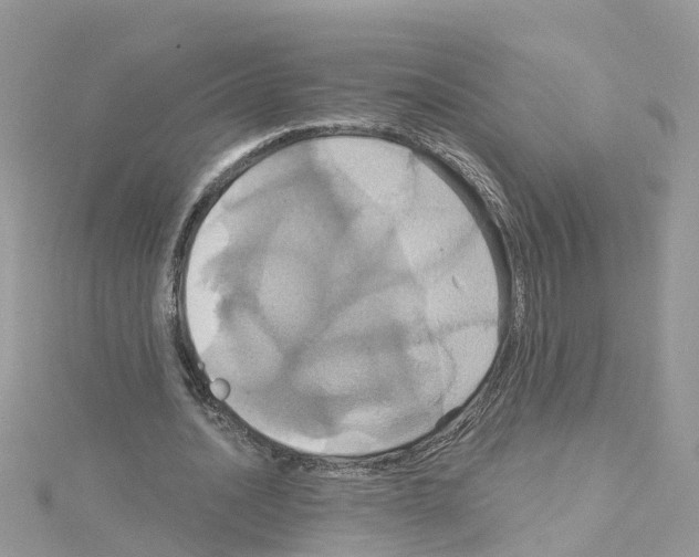 X0000114100628200911161059