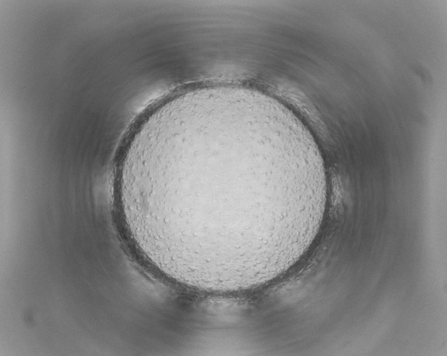 X0000114100632200911161059