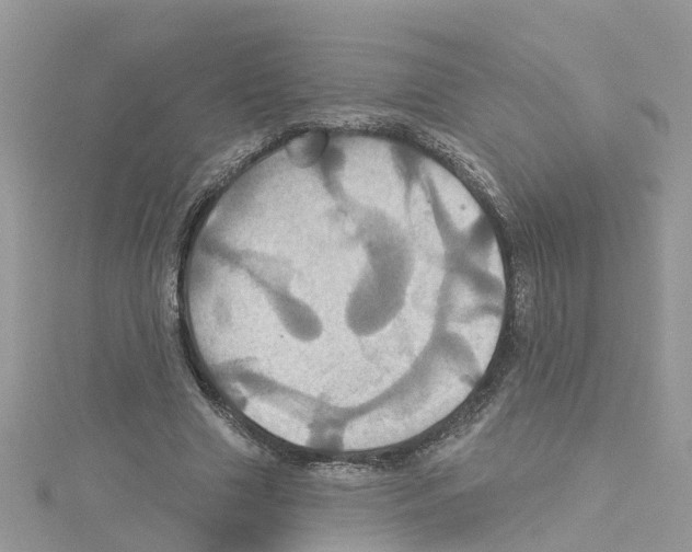 X0000114100633200911161059