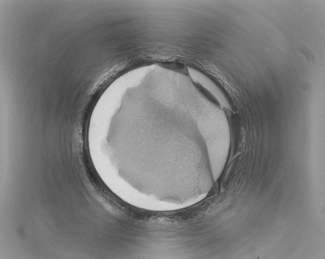 X0000114100634200911161059