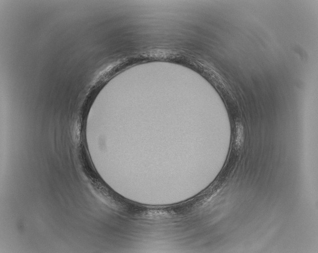 X0000114100636200911161059