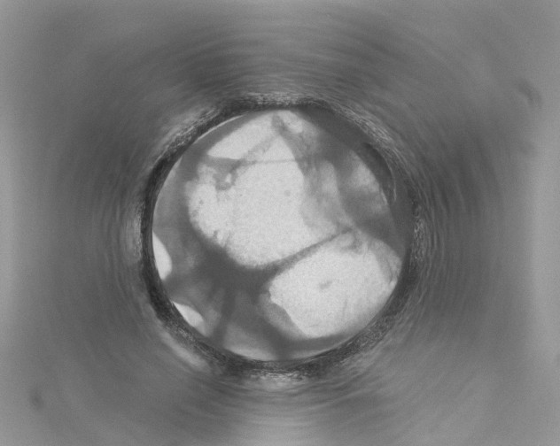 X0000114100638200911161059