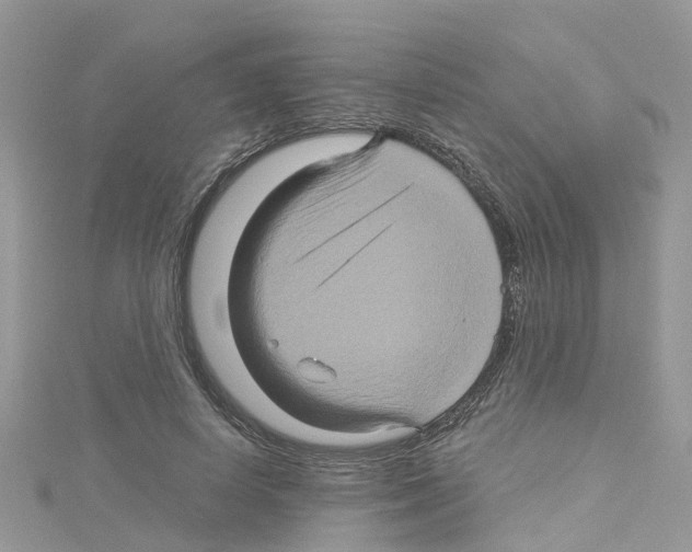 X0000114100642200911161059