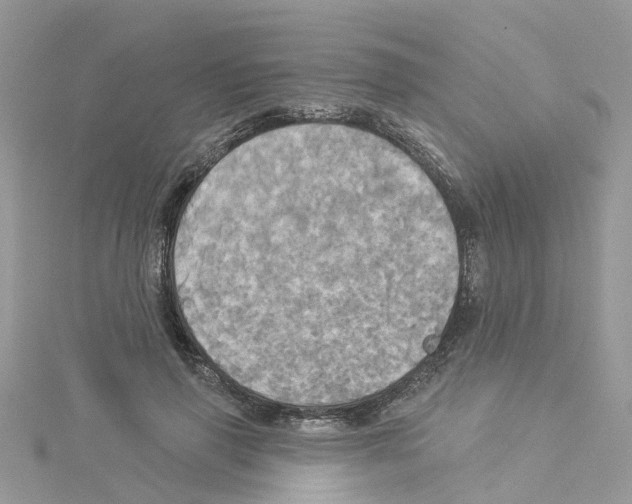 X0000114100645200911161059