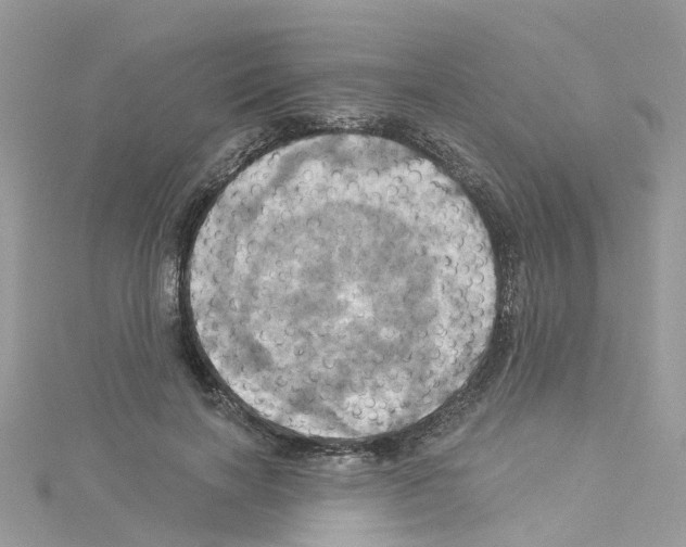 X0000114100646200911161059