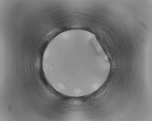 X0000114100648200911161059