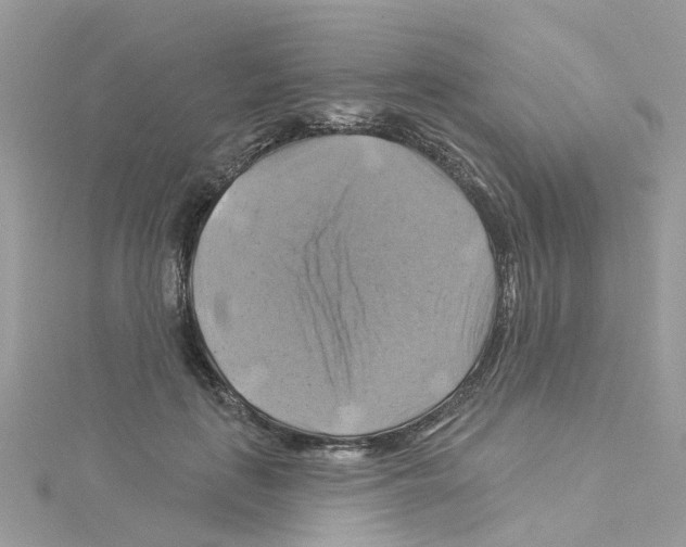 X0000114100651200911161059