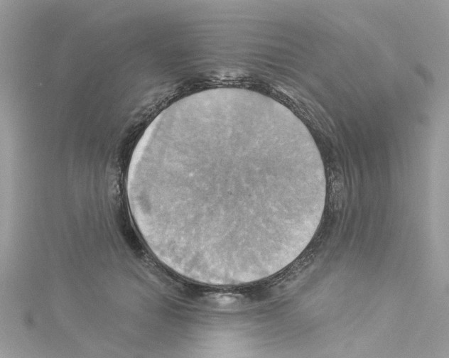 X0000114100654200911161059