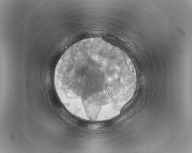 X0000114100662200911161059