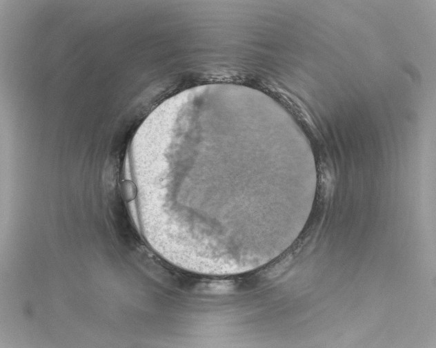 X0000114100665200911161059