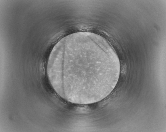 X0000114100666200911161059