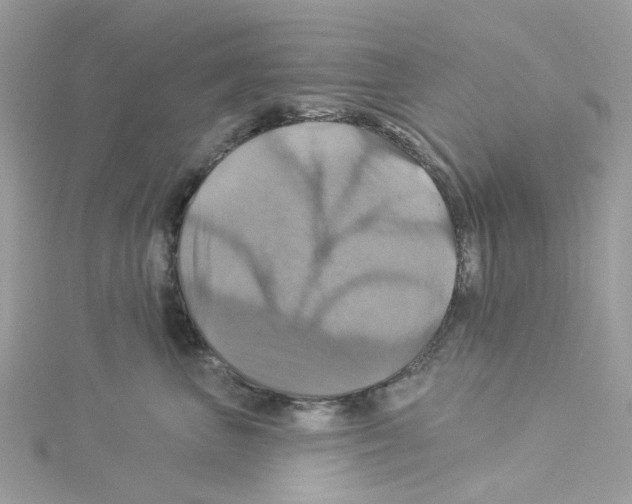 X0000114100667200911161059