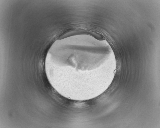 X0000114100669200911161059