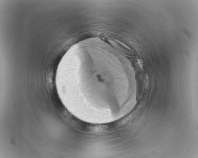 X0000114100670200911161059