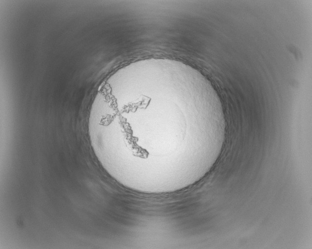 X0000114100672200911161059