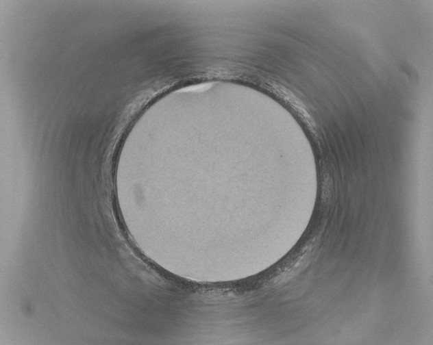 X0000114100673200911161058