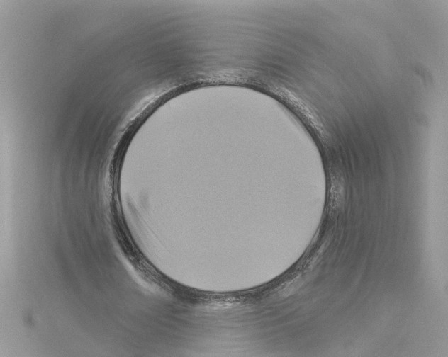 X0000114100674200911161058