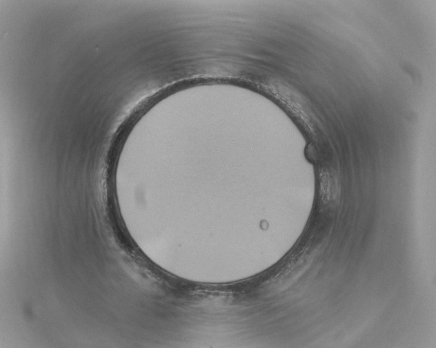 X0000114100676200911161058