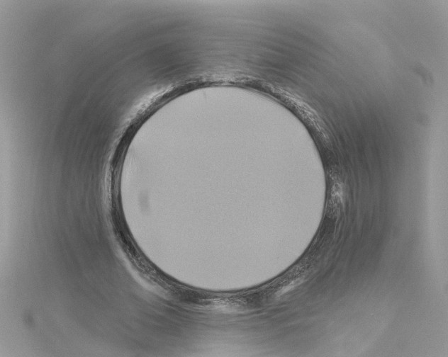 X0000114100678200911161058