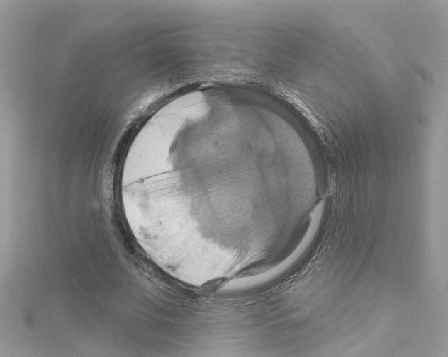 X0000114100679200911161058