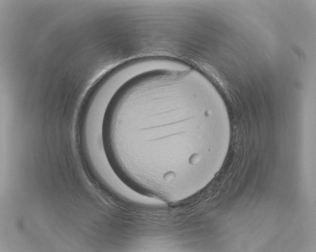 X0000114100680200911161058