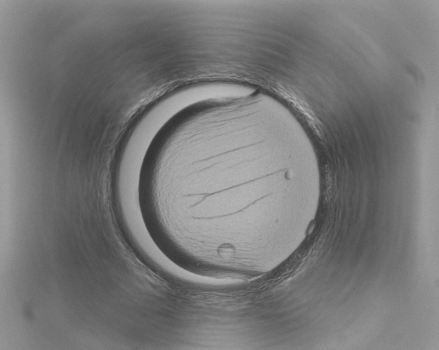 X0000114100681200911161058