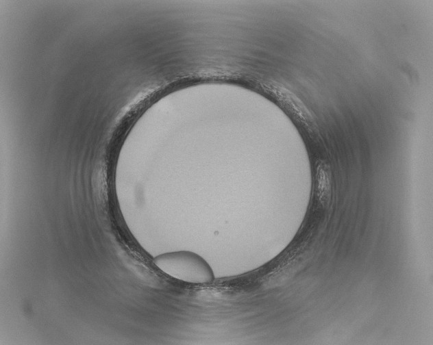 X0000114100684200911161058