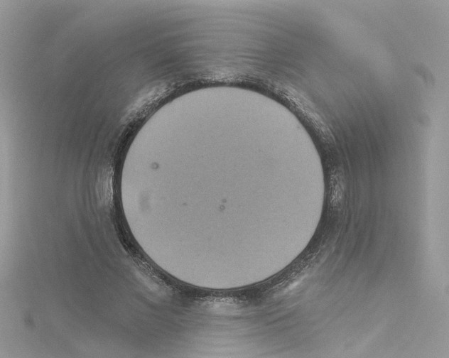 X0000114100685200911161058