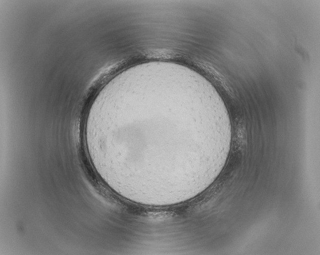 X0000114100686200911161058