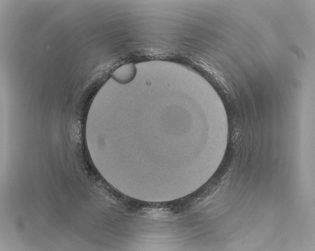 X0000114100689200911161058