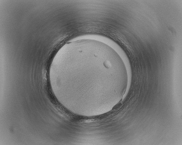 X0000114100692200911161058