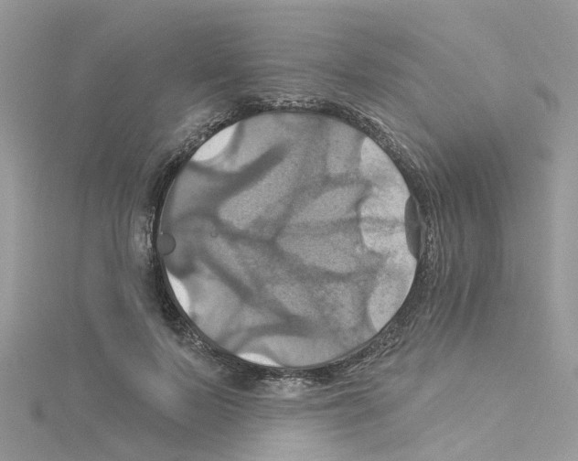 X0000114100695200911161058