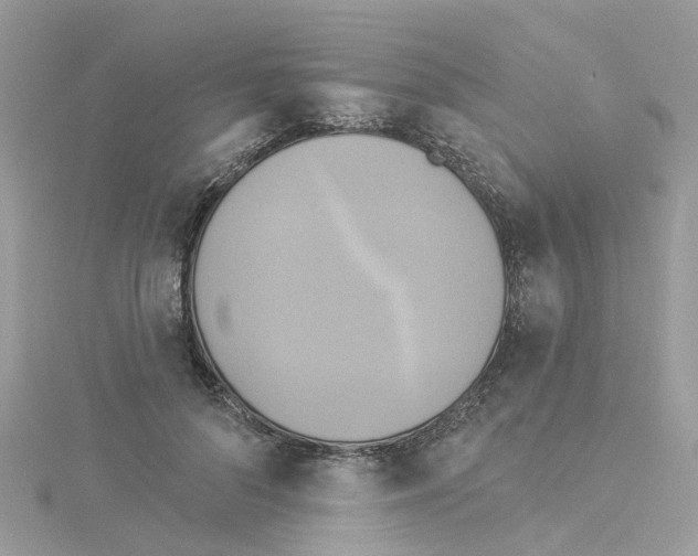 X0000114100696200911161058