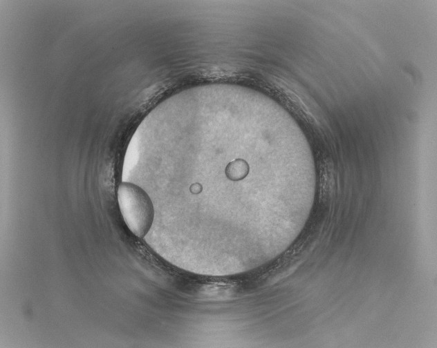 X0000114100700200911161058