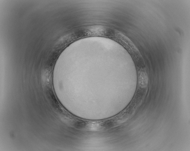 X0000114100701200911161058