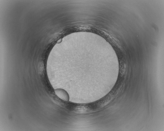 X0000114100704200911161058