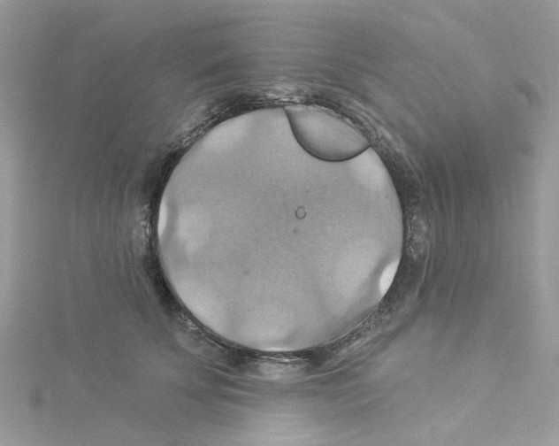 X0000114100707200911161058