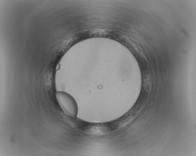 X0000114100708200911161058