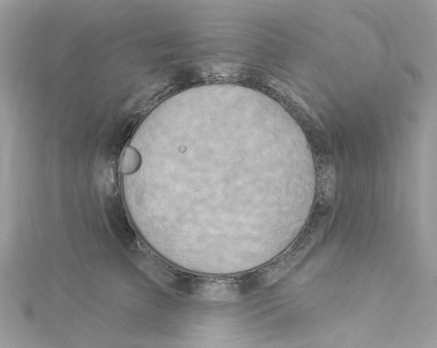 X0000114100709200911161058