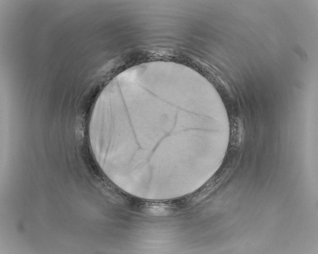 X0000114100710200911161058