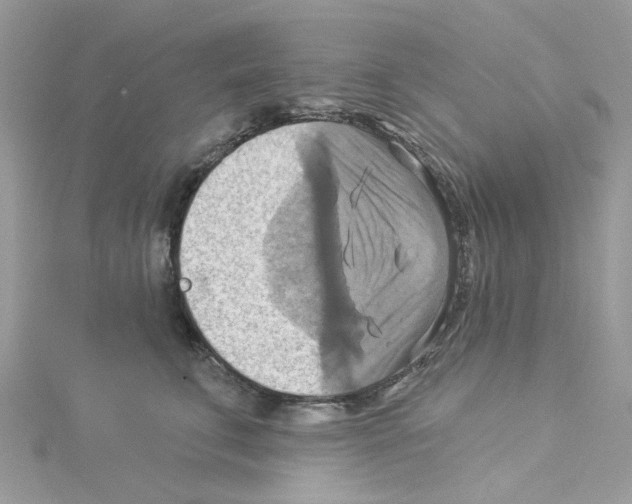 X0000114100711200911161058