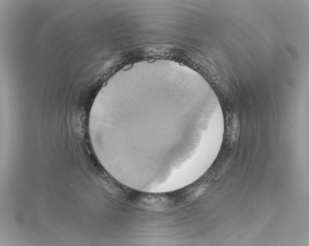 X0000114100712200911161058