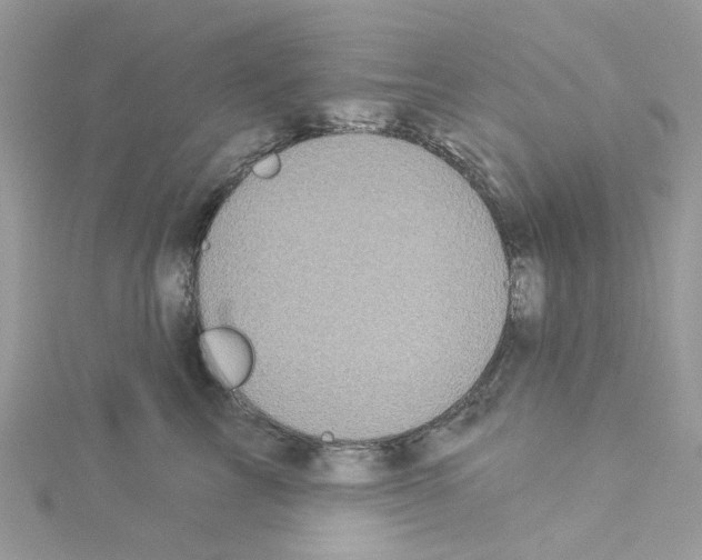 X0000114100713200911161058