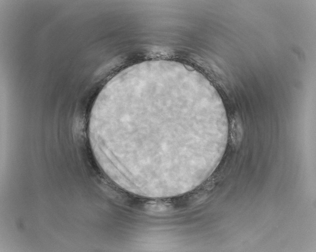 X0000114100714200911161058